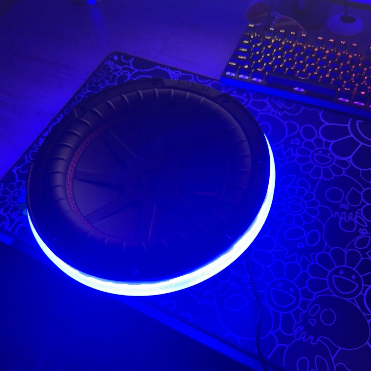 10 Inch Subwoofer RGB Ring Lights With Smart Controller