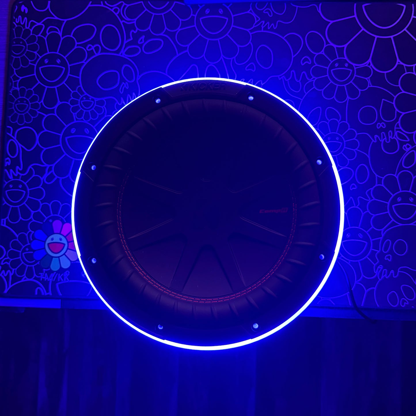 10 Inch Subwoofer RGB Ring Lights With Smart Controller