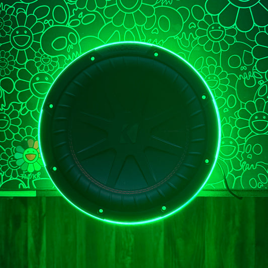 10 Inch Subwoofer RGB Ring Lights With Smart Controller